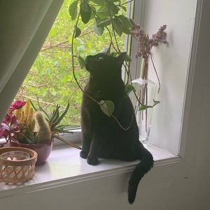 Meet your Posher, Noga